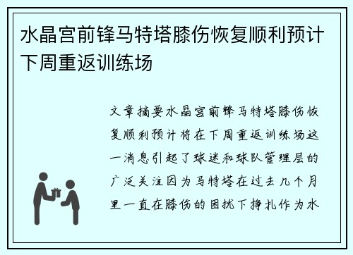水晶宫前锋马特塔膝伤恢复顺利预计下周重返训练场